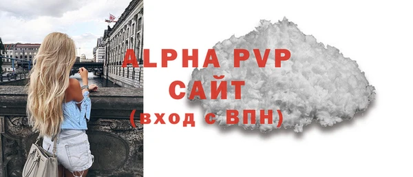 прущие грибы Богданович