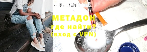 прущие грибы Богданович