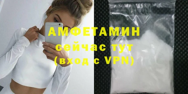 прущие грибы Богданович