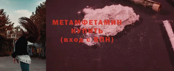 прущие грибы Богданович