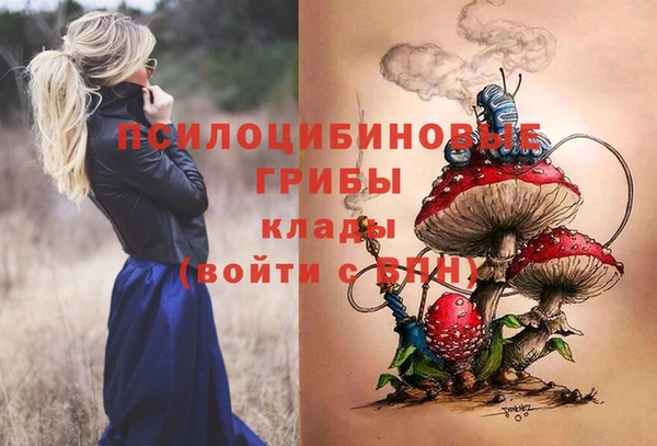 PSILOCYBIN Богородицк