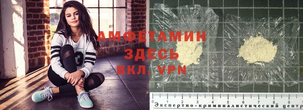 PSILOCYBIN Богородицк