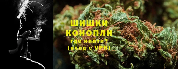 прущие грибы Богданович