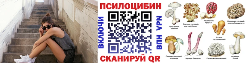 Галлюциногенные грибы Psilocybe  Микунь 